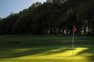 golf-gallery-06.jpg